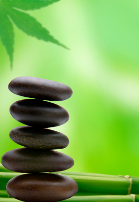 A holistic approach inspired by nature